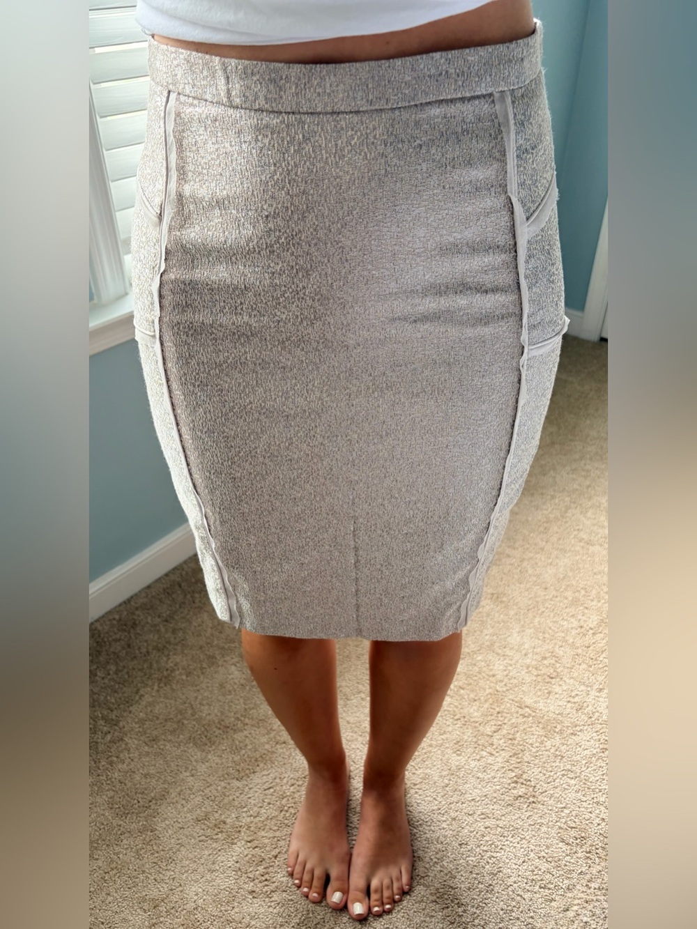 J.Crew Collection Metallic Pencil Skirt 2012-2014 Y2K Size 2 100% Silk Lining